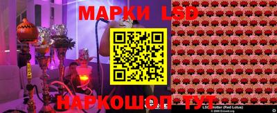 гидра Тара