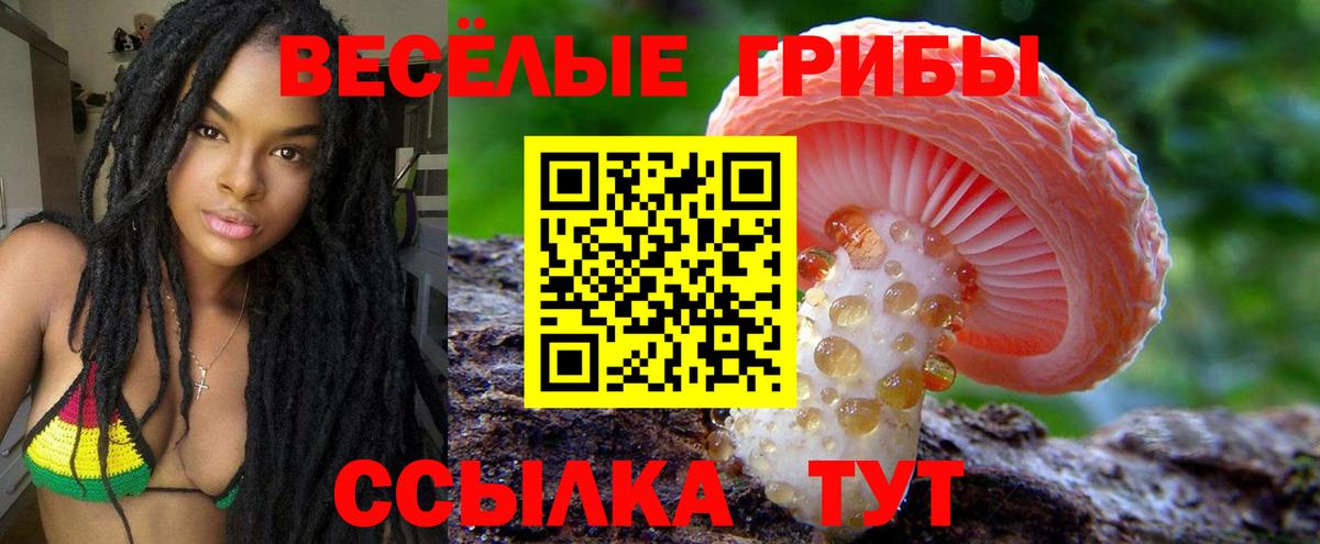 Галлюциногенные грибы GOLDEN TEACHER Мыски