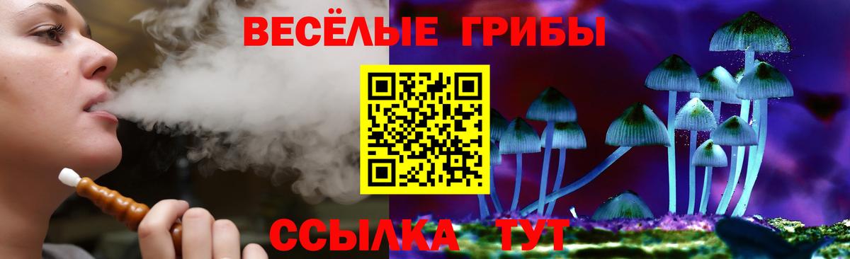 Мыски  Галлюциногенные грибы Magic Shrooms  Вход с VPN 